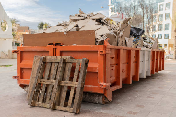 Best Attic Cleanout Services  in Zionsville, IN